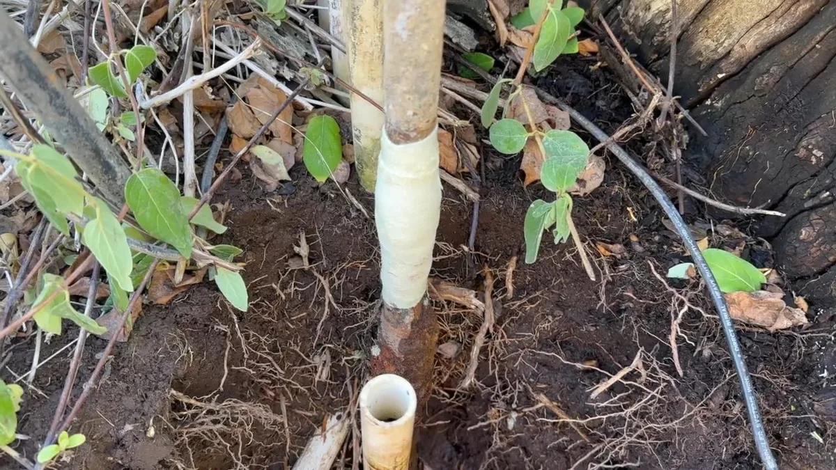 Plumber working on a service line at a hillside Bisbee property